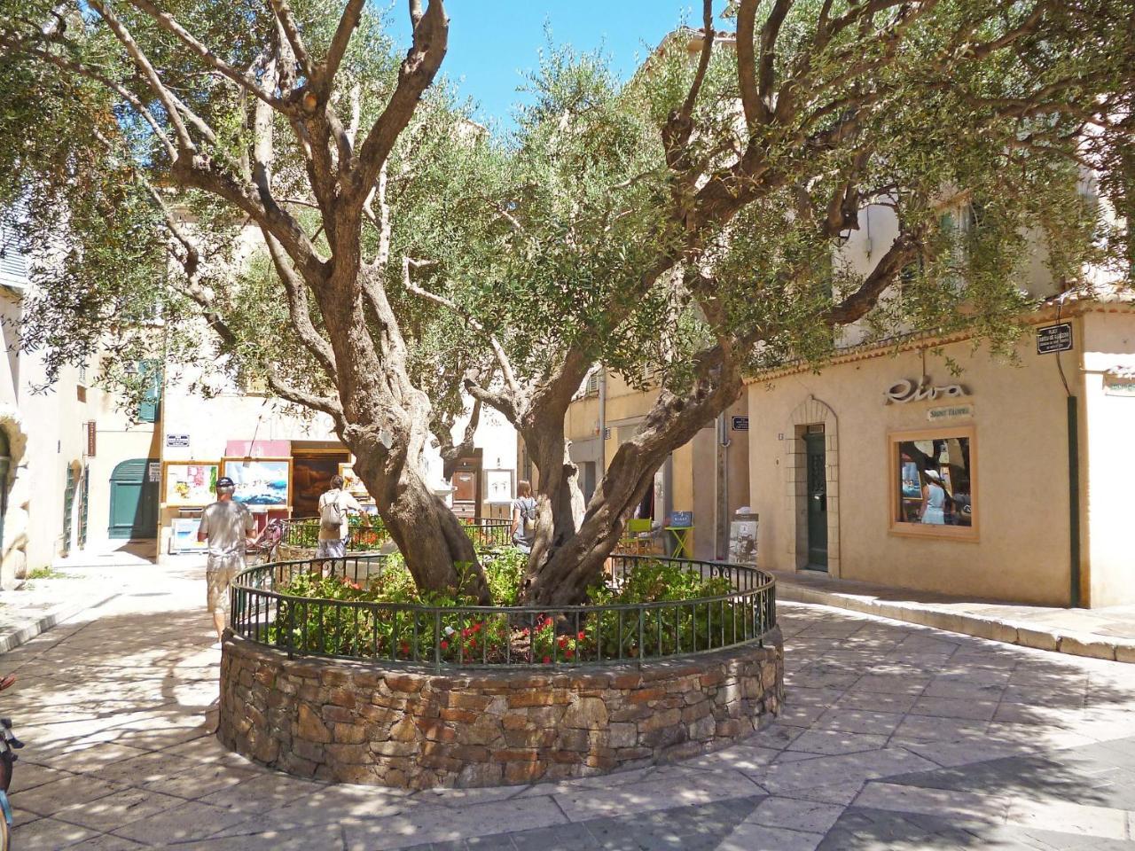 Apartment Eden Parc-4 By Interhome Saint-Tropez Eksteriør billede
